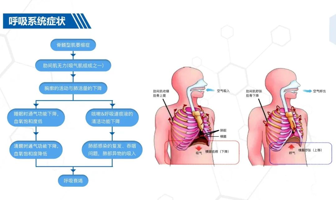 &#20048;&#40060;&#32593;&#39029;&#29256;&#45;&#20048;&#40060;&#40;&#20013;&#22269;&#41;&#23448;&#26041;